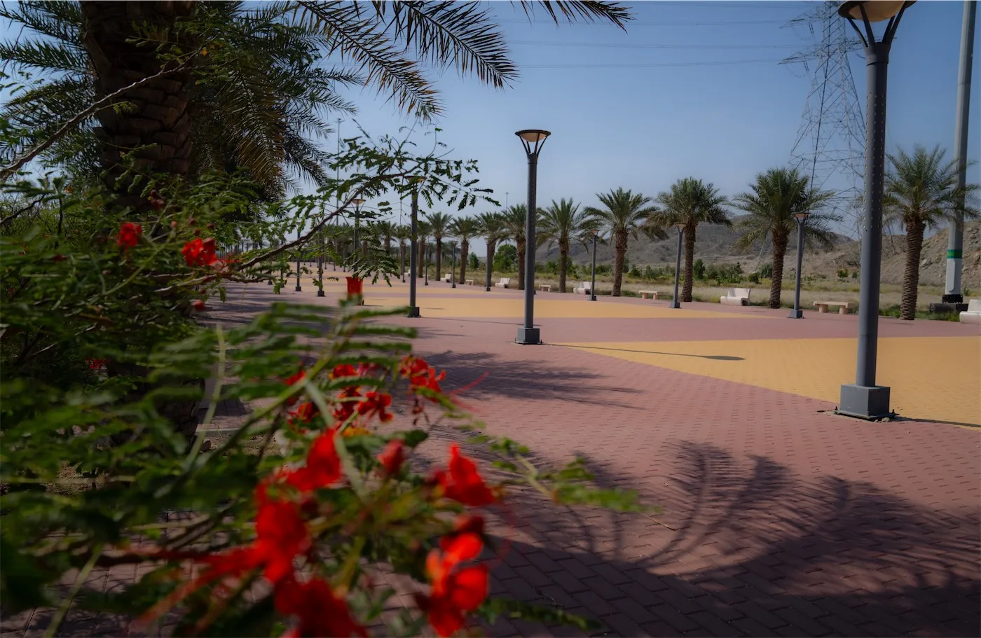 Scenic view of a paved path with modern lighting poles and green landscapes in Al-Ji'ranah Park, Makkah.